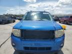 2012 Ford Escape Xlt for Sale in Orlando, FL - Front End