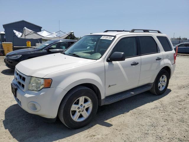 2009 Ford Escape Hybrid