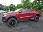 2024 CHEVROLET COLORADO TRAIL BOSS   for sale at Copart NY - NEWBURGH