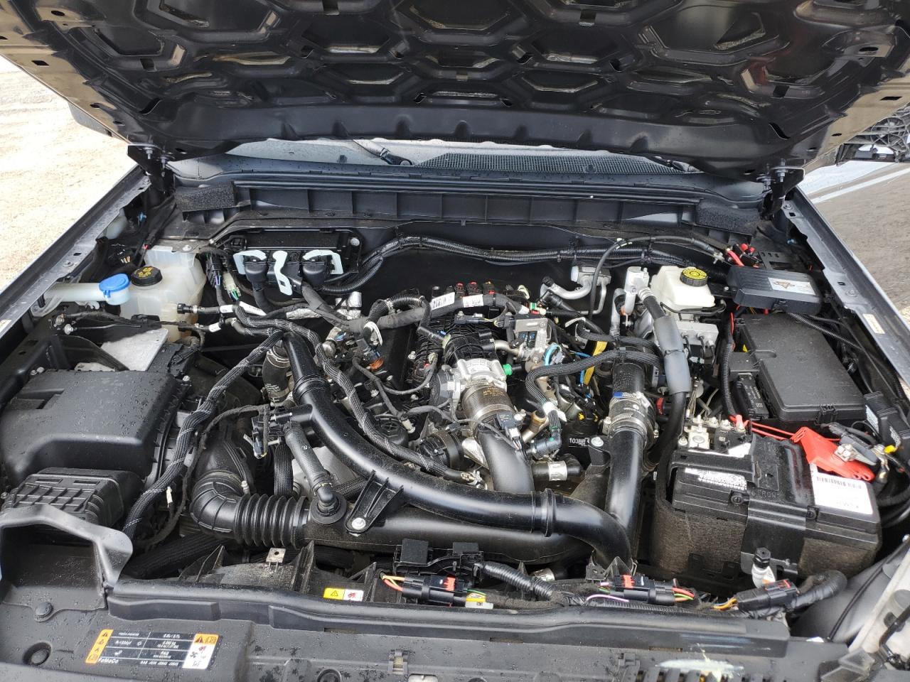 2023 Ford Bronco Base VIN: 1FMEE5DP5PLB59127 Lot: 62736075