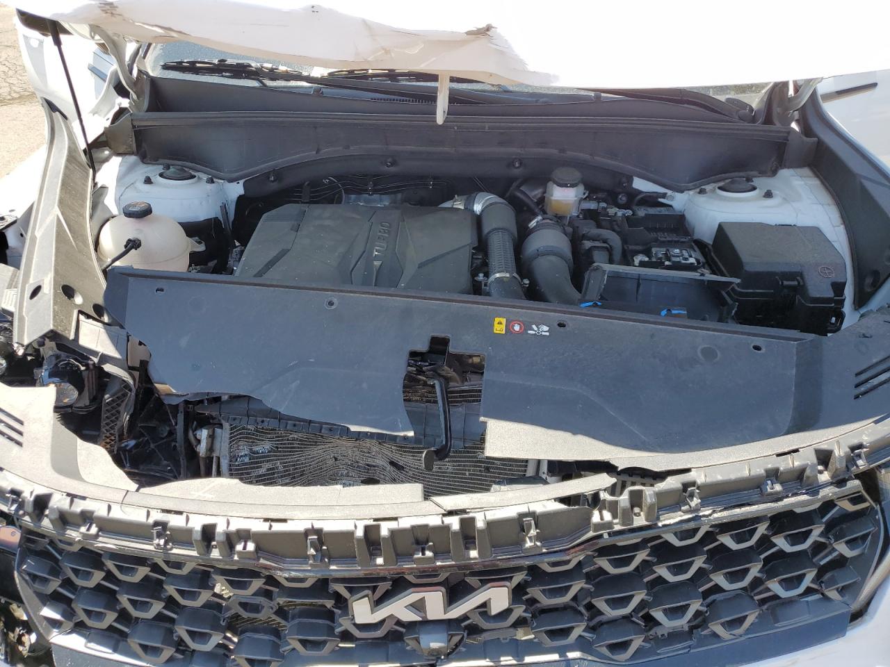 2023 Kia Sorento Sx VIN: 5XYRKDLF7PG245648 Lot: 60286505