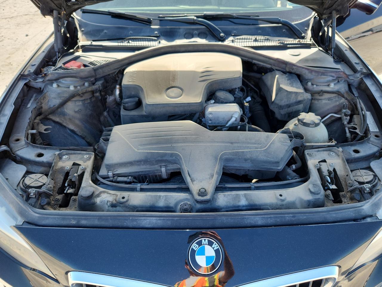 2016 BMW 228 I Sulev VIN: WBA1F9C55GV545068 Lot: 61813375