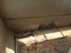 1998 Chevrolet S Truck S10 за продажба в Fairburn, GA - Front End