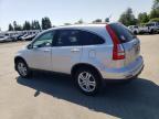 2010 Honda Cr-V Exl للبيع في Woodburn، OR - Front End