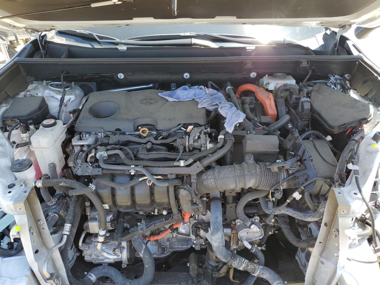 2021 Toyota Rav4 Xle VIN: 2T3RWRFV9MW120068 Lot: 62876905