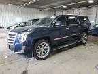 2019 Cadillac Escalade Esv Premium Luxury for Sale in Franklin, WI - All Over