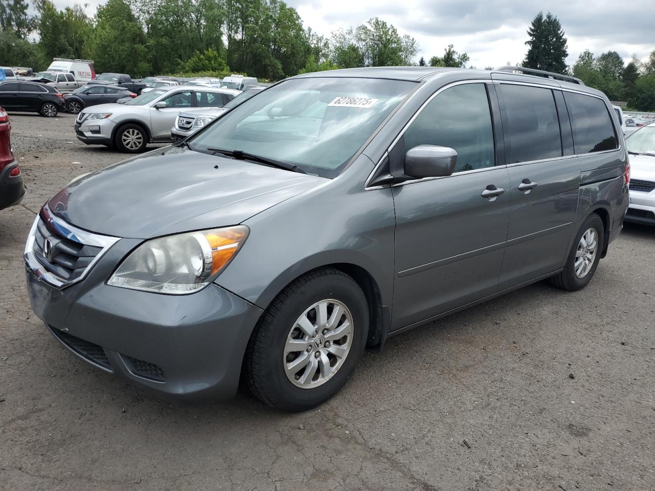 HONDA All Models 2009 VIN 5FNRL38799B407010