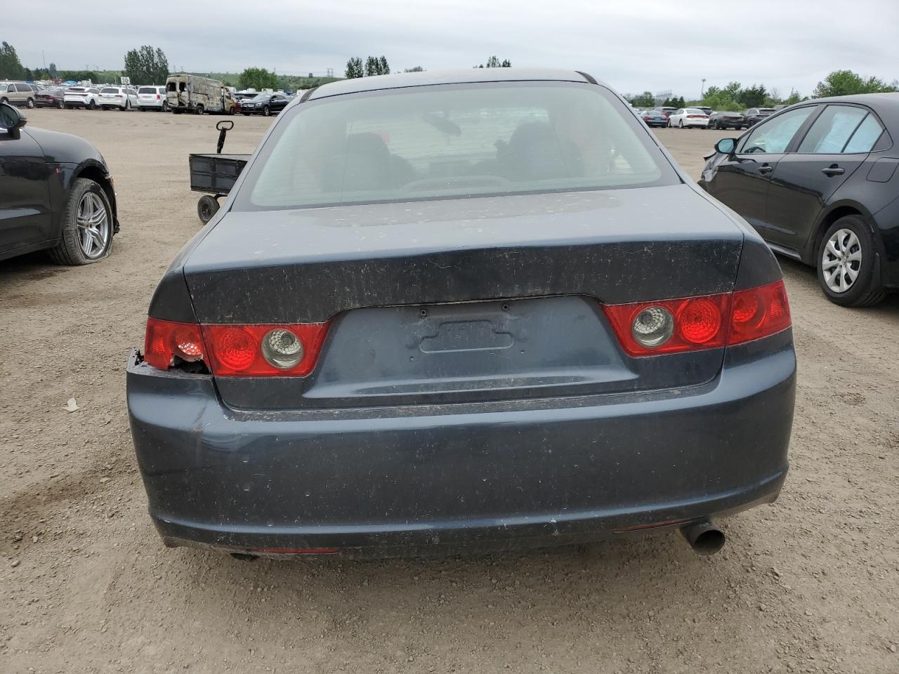 2006 Acura Tsx VIN: JH4CL96856C802927 Lot: 62552305