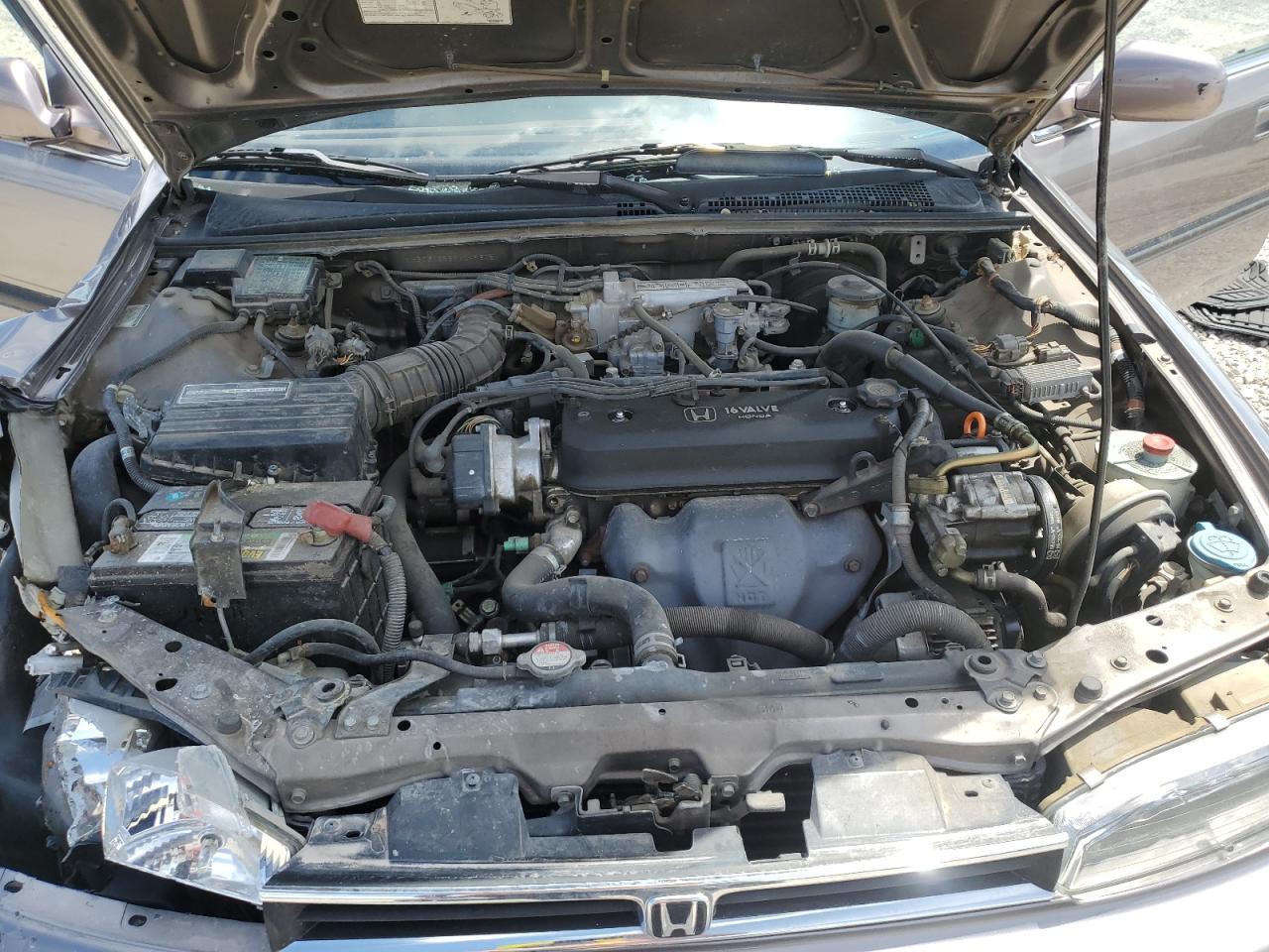 1993 Honda Accord Lx VIN: 1HGCB7658PA049875 Lot: 62343865