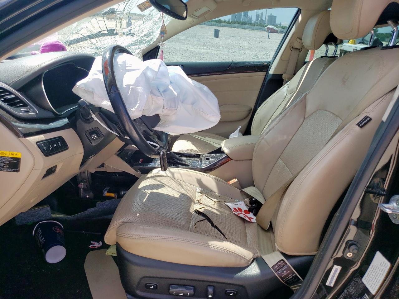 2015 Kia Cadenza Premium VIN: KNALN4D75F5171283 Lot: 59791305