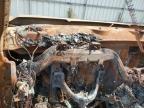 Grenada, MS에서 판매 중인 2007 Chevrolet Silverado K1500 - Burn