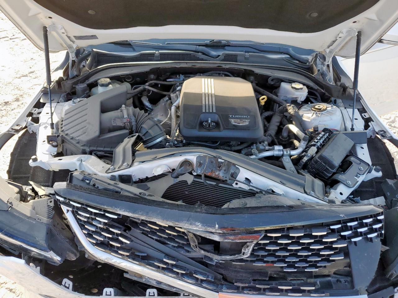 2020 Cadillac Ct4 Premium Luxury VIN: 1G6DB5RK3L0156344 Lot: 61162575