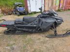 2024 SKIDOO EXPEDITION   for sale at Copart QC - MONTREAL