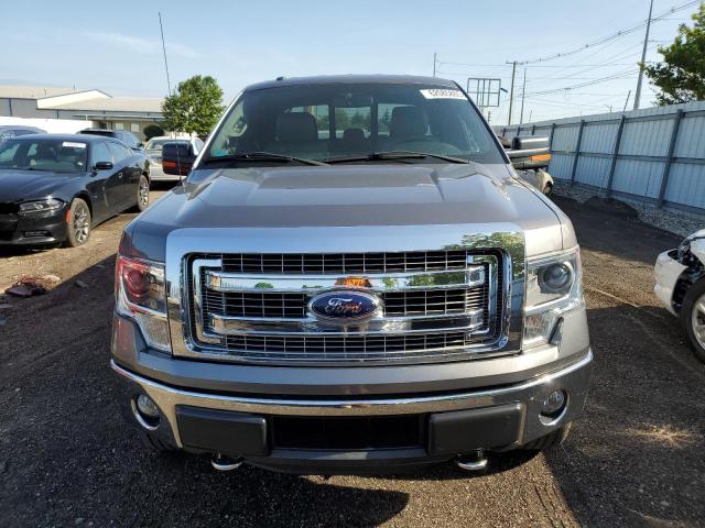  FORD F-150 2014 Серый
