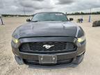 New Braunfels, TX에서 판매 중인 2016 Ford Mustang  - Rear End