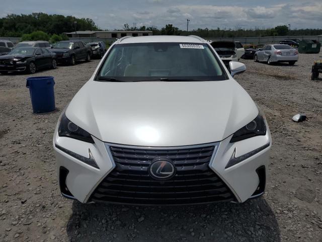  LEXUS NX 2019 White
