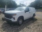 2023 Chevrolet Silverado C1500 na sprzedaż w Greenwell Springs, LA - Minor Dent/Scratches