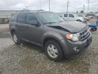 2011 Ford Escape Xlt   for Sale in Columbus, OH - Front End