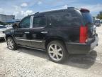2009 Cadillac Escalade Hybrid for Sale in Opa Locka, FL - Normal Wear