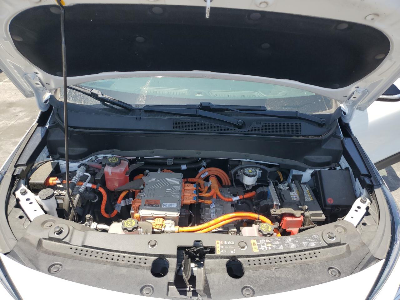 2023 Chevrolet Bolt Euv Lt VIN: 1G1FY6S01P4135843 Lot: 62026365