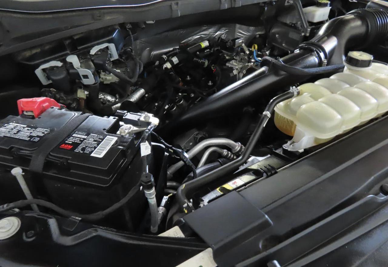 1FTEX1CP3MKD17894 FORD F-150 2021
