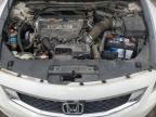 2008 Honda Accord Exl   للبيع في Orlando، FL - Minor Dent/Scratches