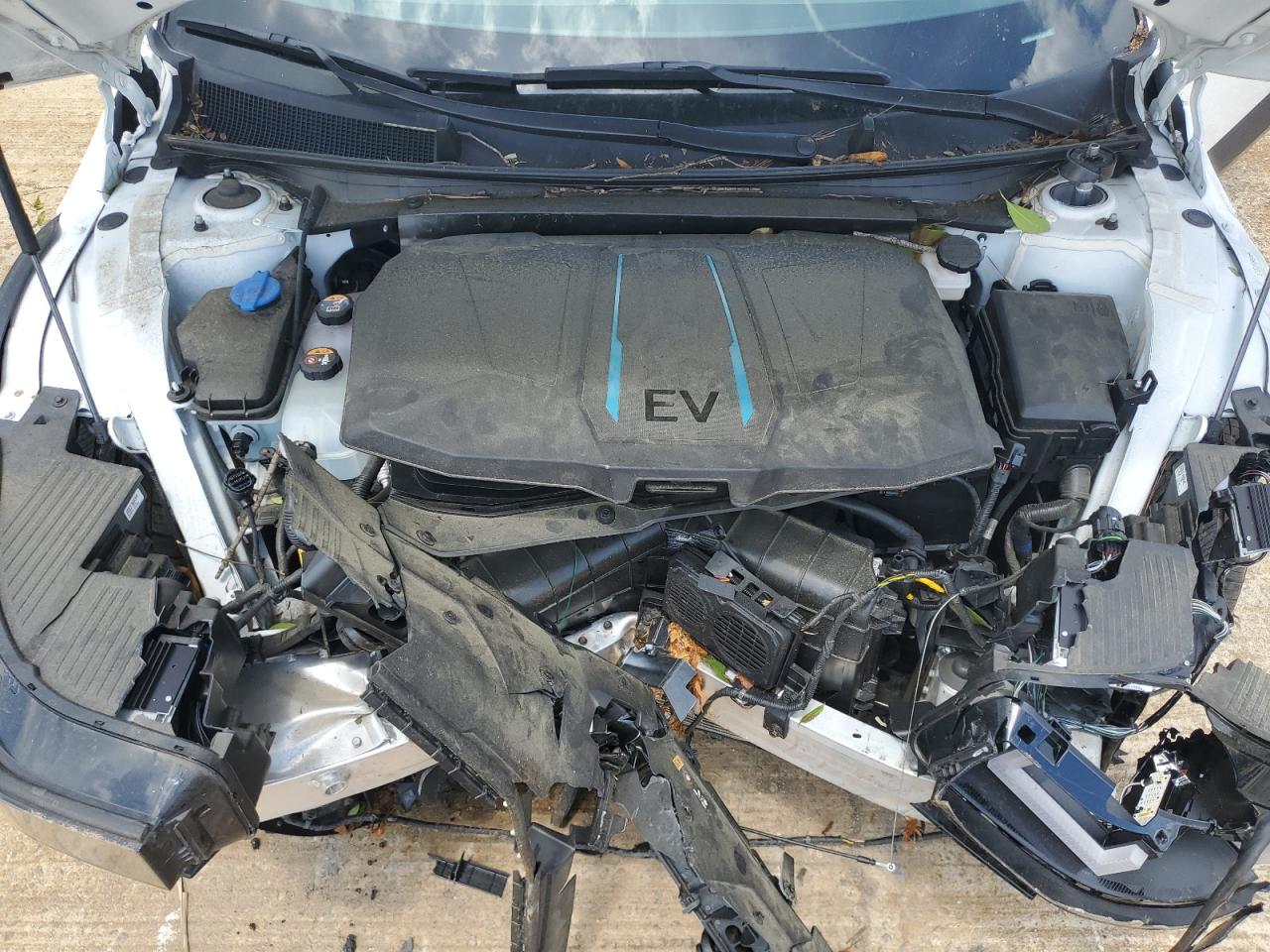 2023 Hyundai Ioniq 5 Sel VIN: KM8KN4AE0PU147087 Lot: 60698105