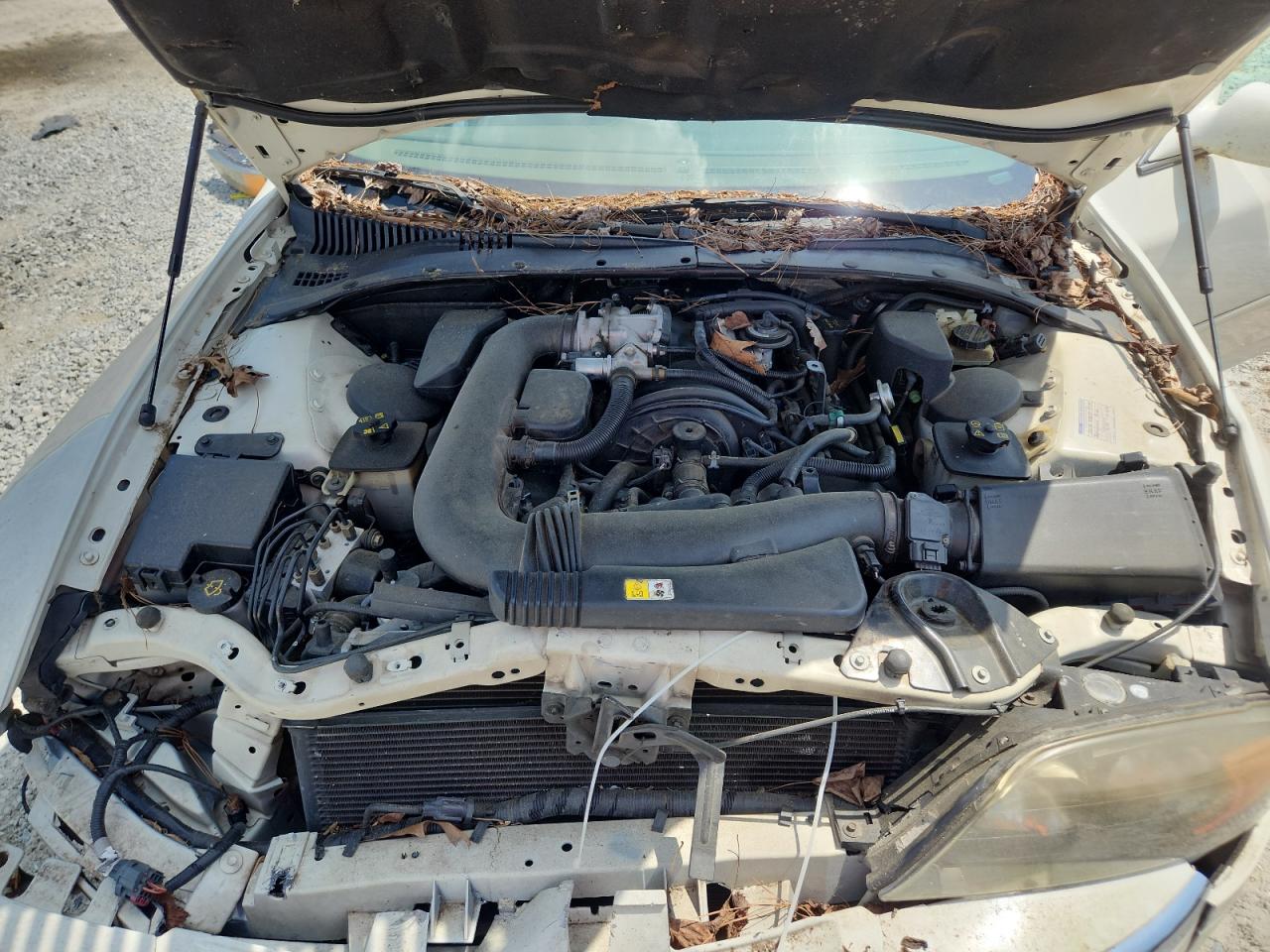 2002 Lincoln Ls VIN: 1LNHM87A72Y676692 Lot: 59714115
