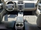 Albany, NY에서 판매 중인 2009 Ford Escape Xlt   - Front End