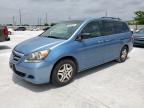 2006 Honda Odyssey Exl للبيع في Haslet، TX - Minor Dent/Scratches