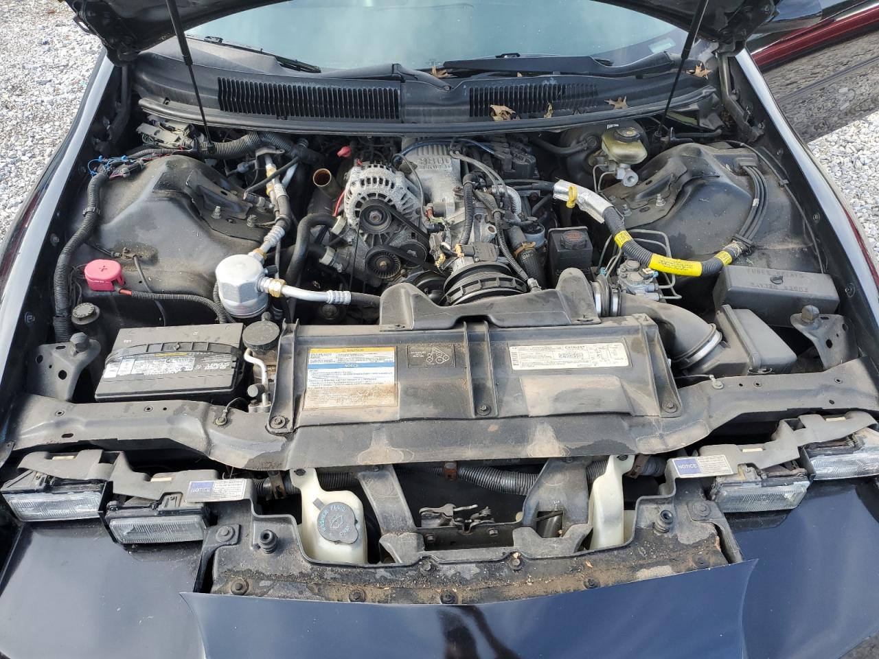 1996 Chevrolet Camaro Base VIN: 2G1FP22K4T2130665 Lot: 60147435