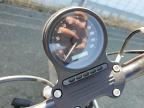 2020 Harley-Davidson Xl883 N for Sale in Vallejo, CA - Side