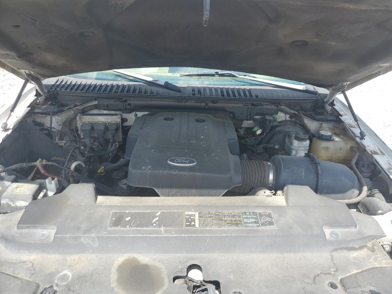 2004 Ford Expedition Eddie Bauer VIN: 1FMRU17W34LA18164 Lot: 61985495