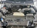 2024 FORD F150 XLT   for sale at Copart TX - DALLAS SOUTH