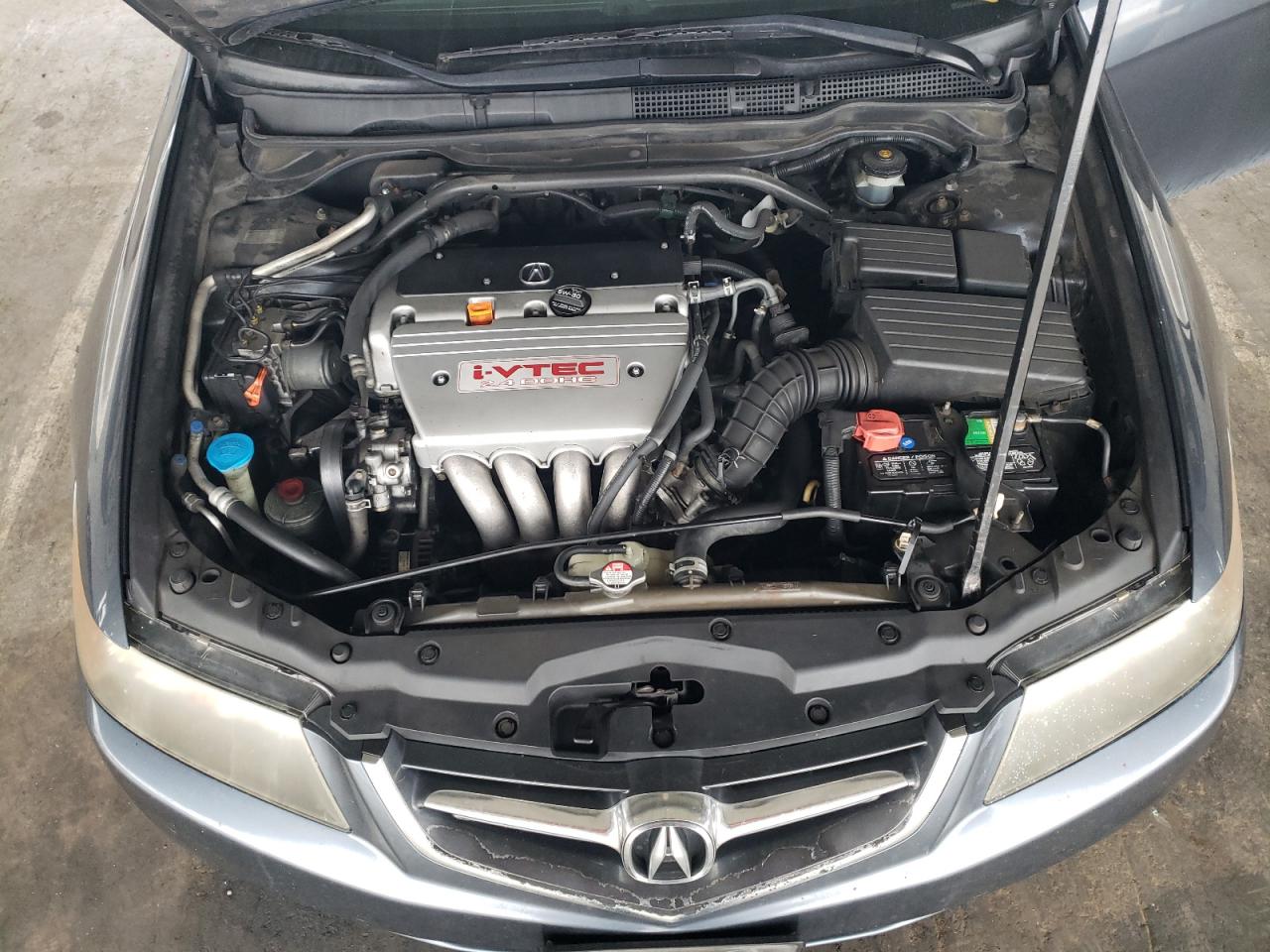 2004 Acura Tsx VIN: JH4CL96904C034411 Lot: 62396455