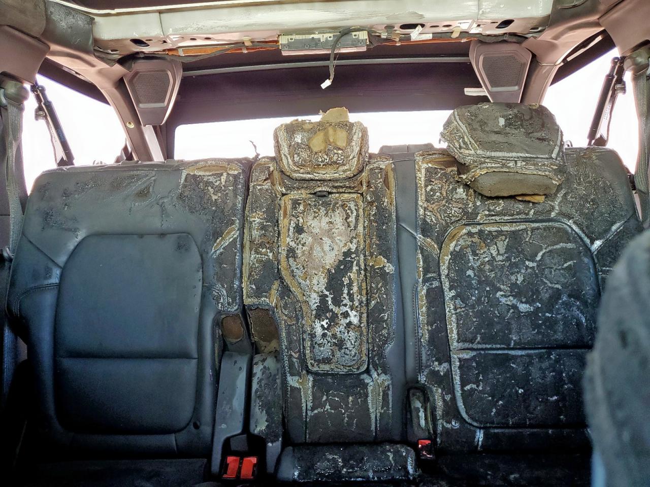 2024 Ford Bronco Badlands VIN: 1FMEE9BP3RLA25956 Lot: 62846675