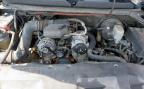 2008 Gmc Sierra C1500 للبيع في Grand Prairie، TX - Front End