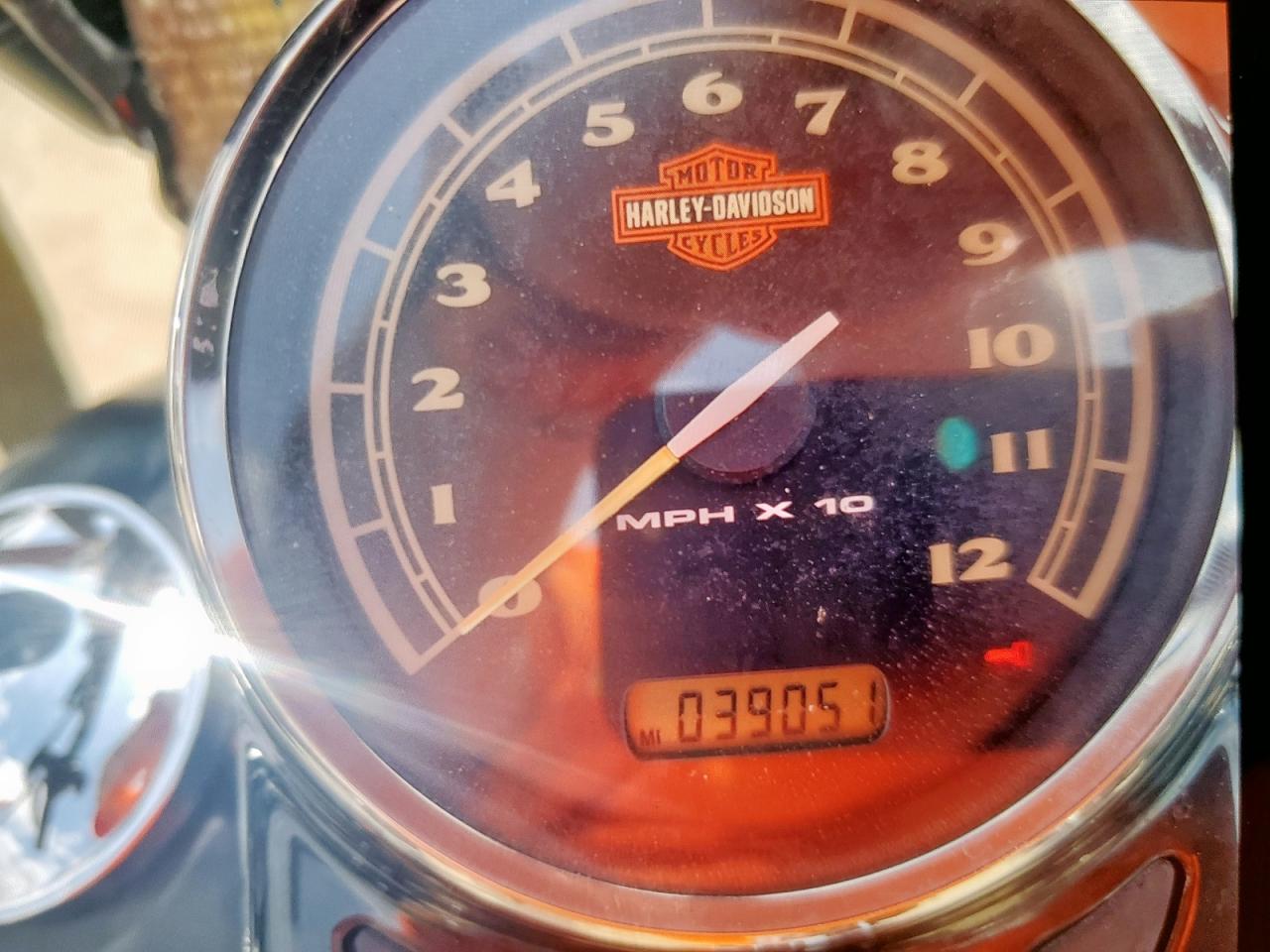 2009 Harley-Davidson Flstsb VIN: 1HD1JM51X9Y028962 Lot: 58411315