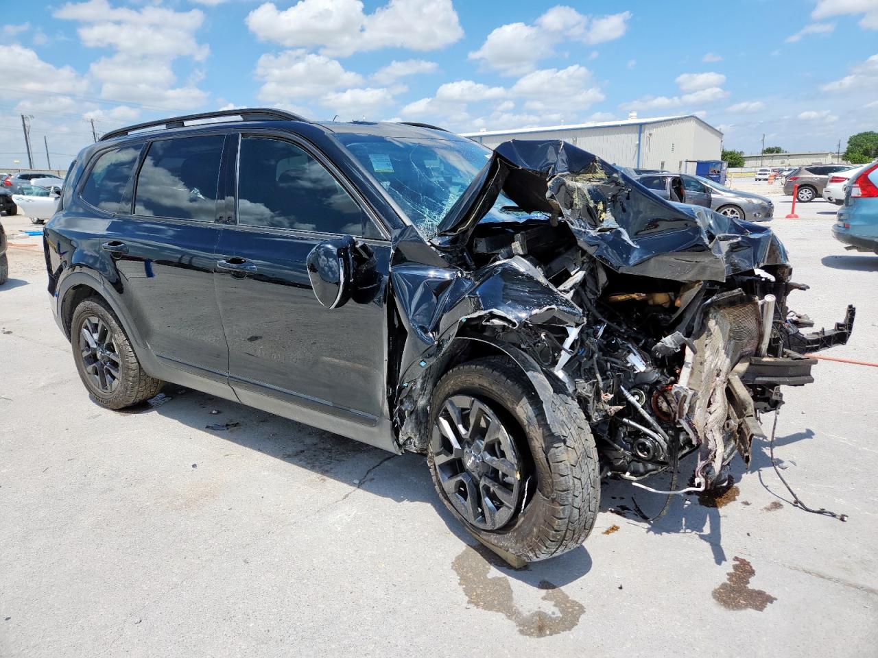 KIA TELLURIDE 2024 VIN 5XYP5DGC8RG427344 zdjęcie 4