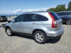 2010 Honda Cr-V Exl for Sale in Arlington, WA - Front End