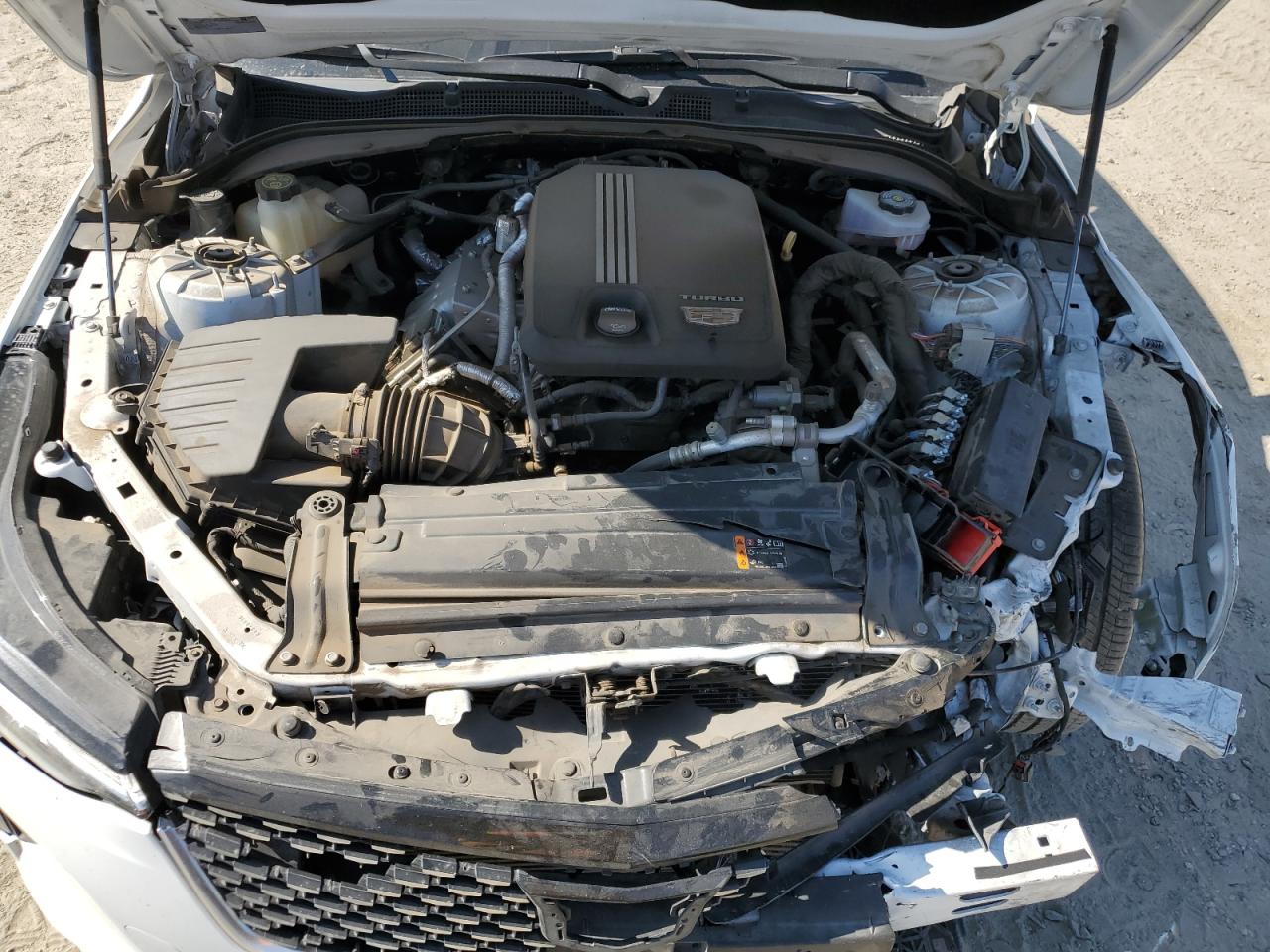 2021 Cadillac Ct4 Premium Luxury VIN: 1G6DB5RK0M0144203 Lot: 62856045
