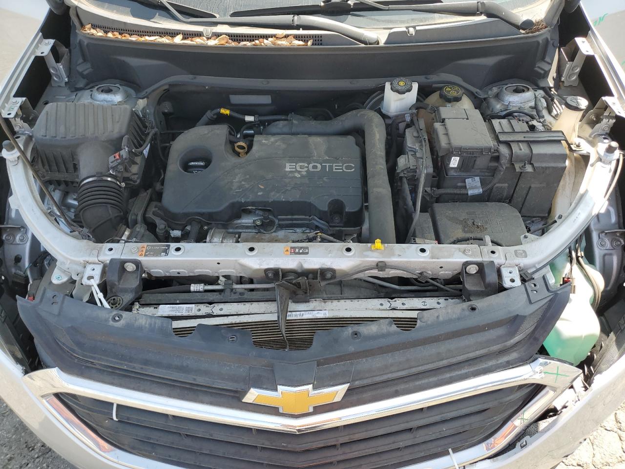 2GNAXHEV3K6119276 CHEVROLET EQUINOX 2019
