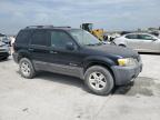 2007 Ford Escape Hev zu verkaufen in New Orleans, LA - Minor Dent/Scratches