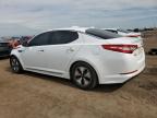 2013 Kia Optima Hybrid   продається в Brighton, CO - Front End