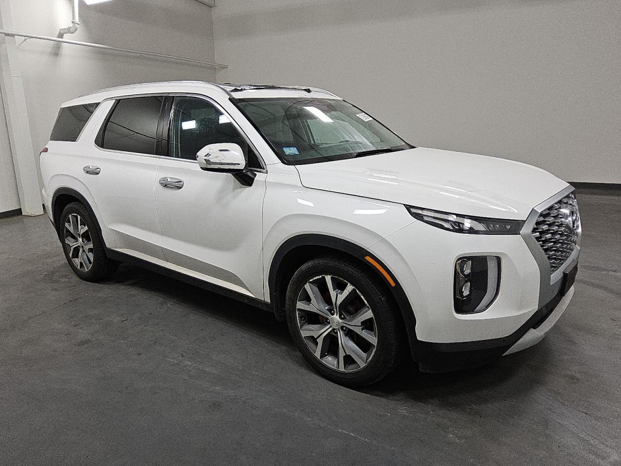 2020 Hyundai Palisade Sel VIN: KM8R4DHEXLU116351 Lot: 59057895
