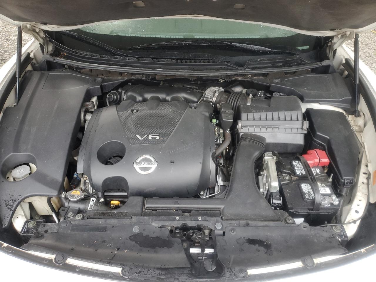 2009 Nissan Maxima S VIN: 1N4AA51E89C806128 Lot: 62848665