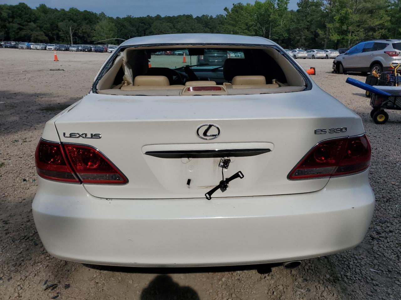 2005 Lexus Es 330 VIN: JTHBA30GX55091212 Lot: 62060025