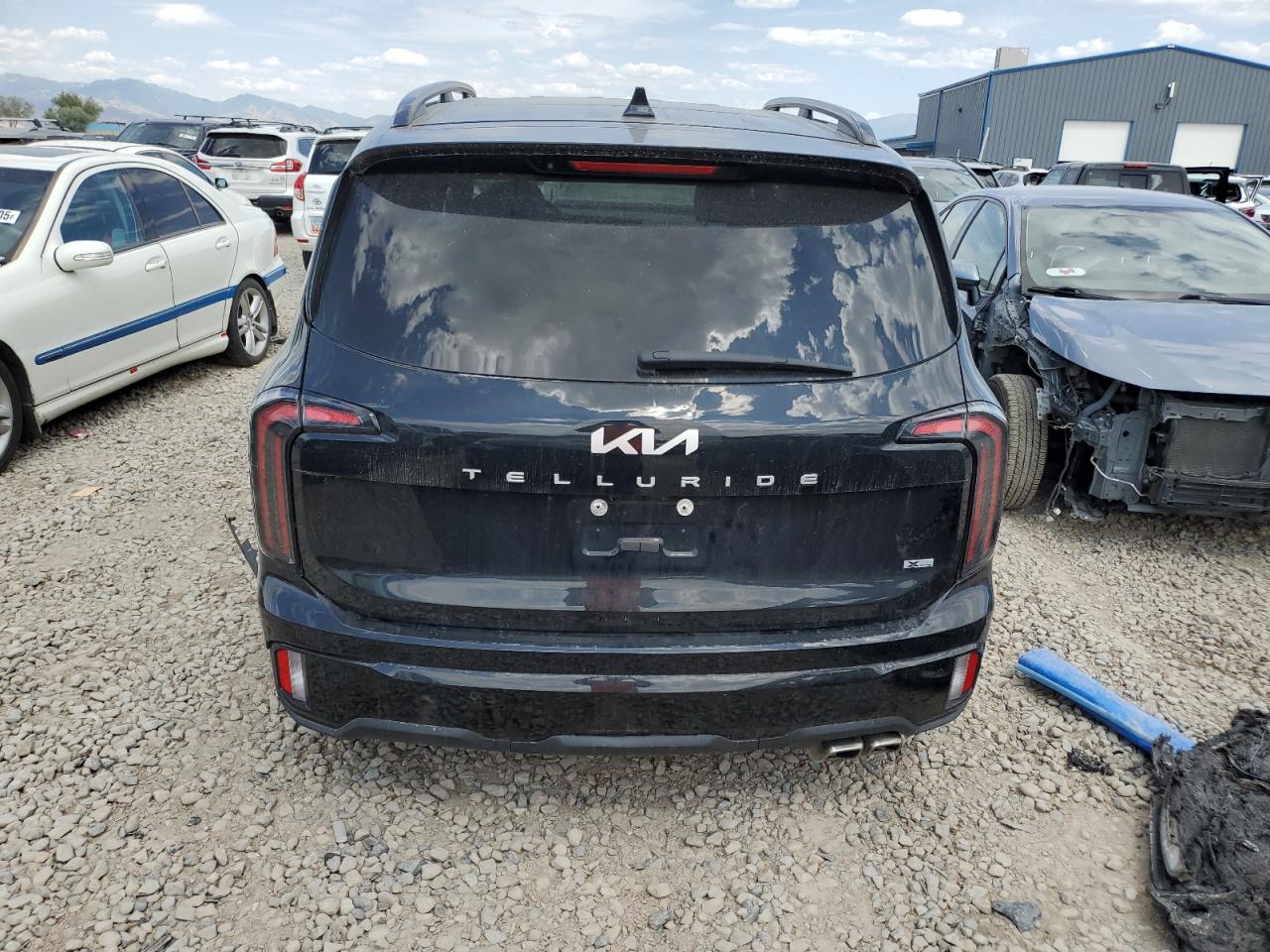 KIA TELLURIDE 2024 VIN 5XYP5DGC9RG441771 zdjęcie 6