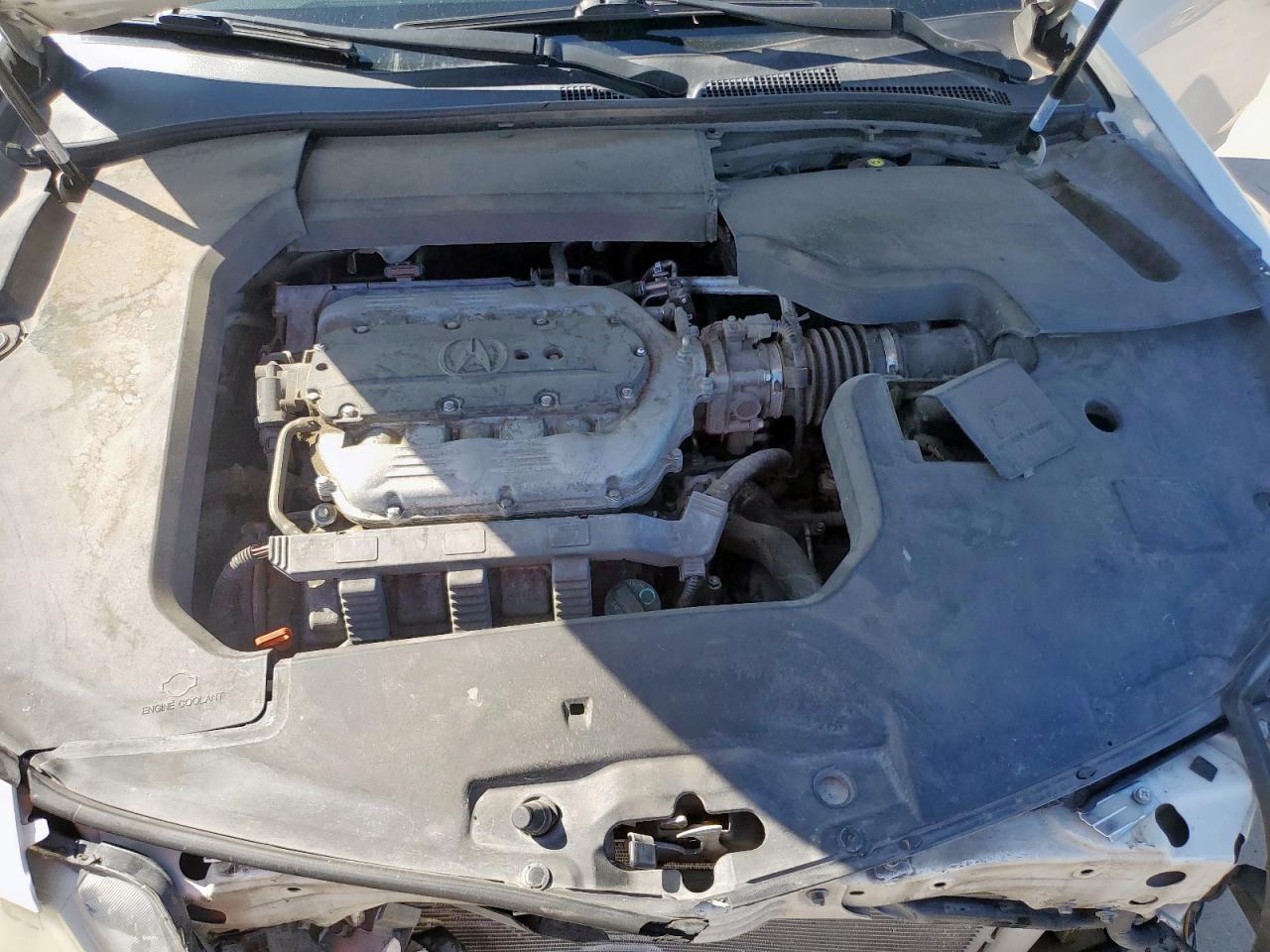 2010 Acura Tl VIN: 19UUA8F56AA019262 Lot: 62951525