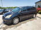 2010 Honda Odyssey Exl იყიდება Louisville-ში, KY - Hail